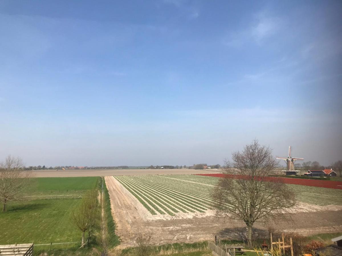 In De Gele Hoed Mooie Appartementen Met Fantastisch Uitzicht Zonnemaire Exterior photo